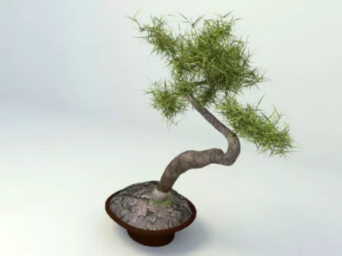 Japanese Bonsai Planter 3d model Japanese Bonsai Planter 3d model