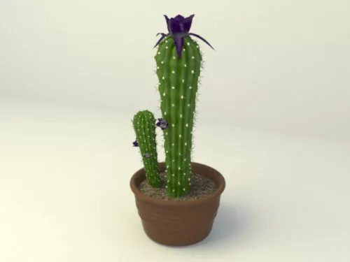 Clay Potted Cactus Plant 3d model Clay Potted Cactus Plant 3d model
