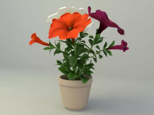 Desk Flower In Pot 3d model Desk Flower In Pot 3d model