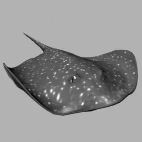 Animated Stingray Animal 3d model