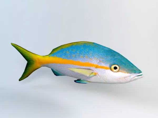 Fangtooth Fish 3d model