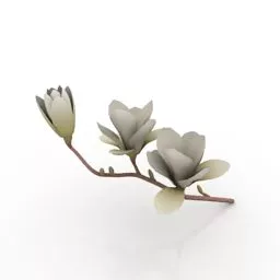 Branch Flower Plant 3d model