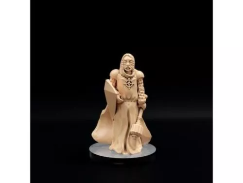 Battle Warrior Game Character 3d model