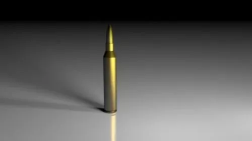 Bullet Shell Rifle Gun 3d model Bullet Shell Rifle Gun 3d model