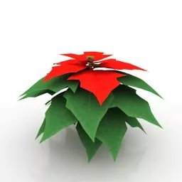 Bush Poinse Flower 3d model