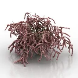 Bush Spirea Plant 3d model