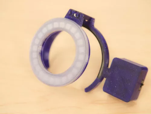 Carved Couple Ring 3d model