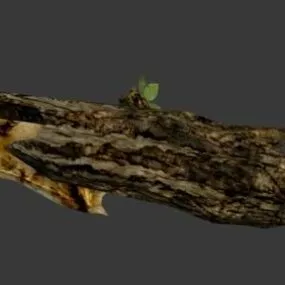 Drift Wood Bone Sword 3d model