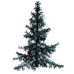 Garden Elytree Plant 3d model
