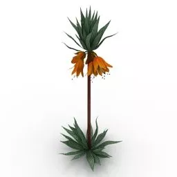 Crown Particle Shape 3d model