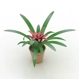 Garden Flower Gusman 3d model Garden Flower Gusman 3d model