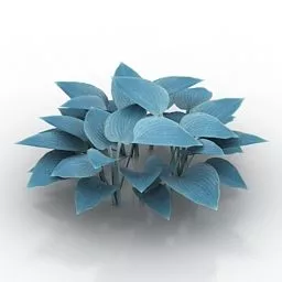 Lowpoly Garden Flower Hosta 3d model