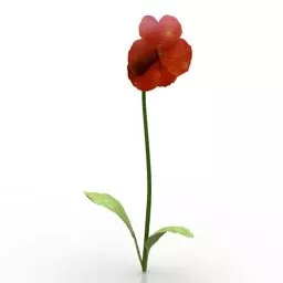 Lowpoly Flower Pansy 3d model