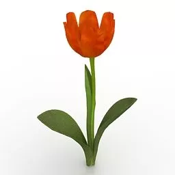 Lowpoly Flower Princess Irene Tulip 3d model