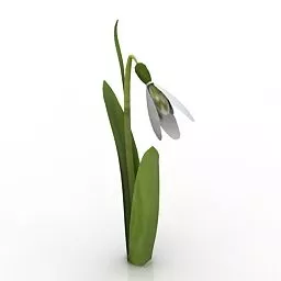 Garden Flower Snowdrop 3d model