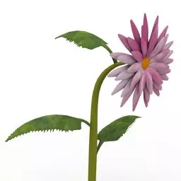 Velvet Flower Queen Helianthus 3d model