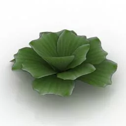 Garden Flower Pistia 3d model