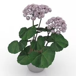 Flower Garden Decoration 3d model