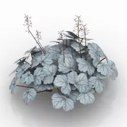 Garden Grass 3d model