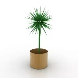 House Plant In Wooden Pot 3d model