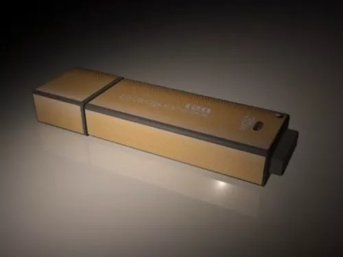 Black Kingston Flash Drive 3d model