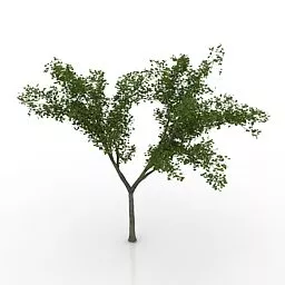 Lowpoly Maple Tree 3d model