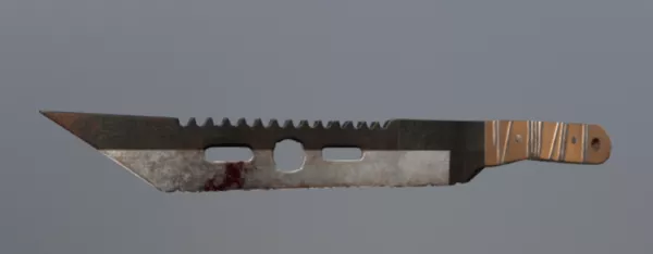 Tang Dynasty Chinese Sword 3d model