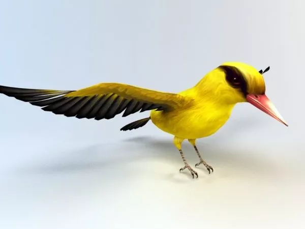 Oriolidae Bird Animal 3d model Oriolidae Bird Animal 3d model