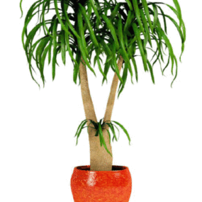 Indoor Plant Ceramic Pot 3d model
