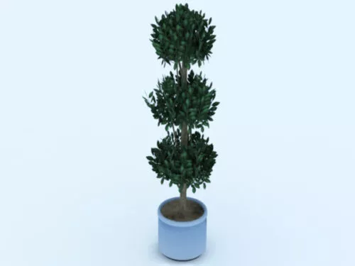 Nature Potted Plant 3d model Nature Potted Plant 3d model