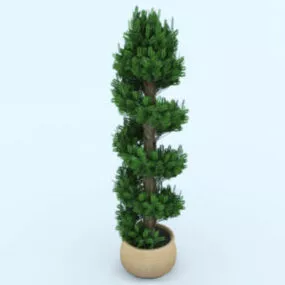 Potted High Plant Design 3d model