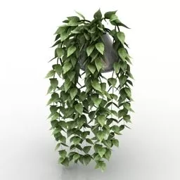 Ivy Plant Vase 3d model