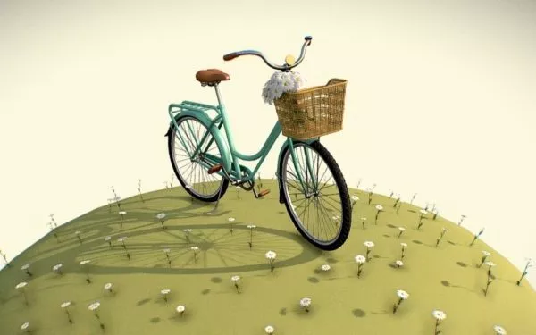 Black Mountain Bicycle 3d model