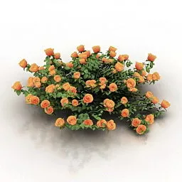 Garden Roses Bush 3d model