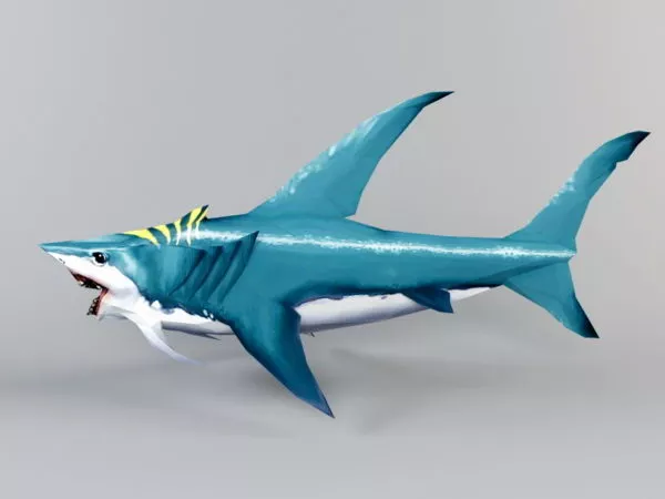 Aquarium Siamese Tigerfish 3d model