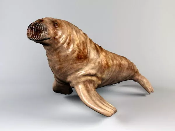 Genesis Ocean Landscape 3d model