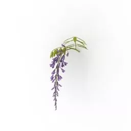 Stick Flower 3d model