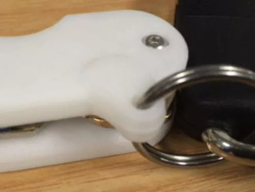 Door Keys 3d model