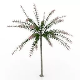Plant Tree Hakuro Nishiki 3d model