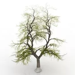 Tree Ash Stripped 3d model