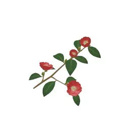 Twig Flower 3d model
