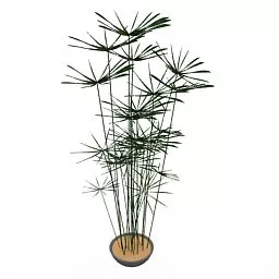 Vase With High Palm Plant 3d model