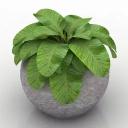Flower Vase Garden Decoration 3d model