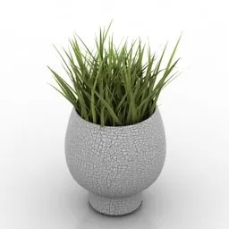 Ceramic Vase Grass Plan 3d model