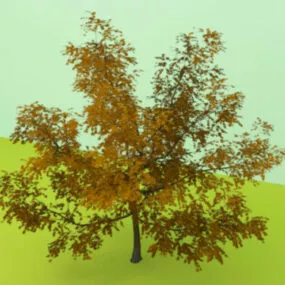 Office Indoor Pot Plant 3d model