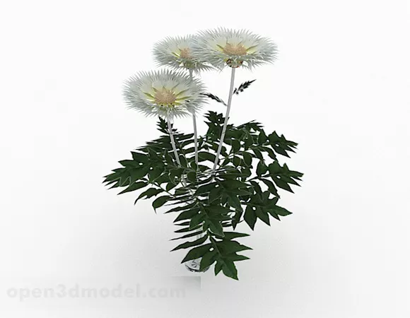 White Flower Garden Plant 3d model White Flower Garden Plant 3d model