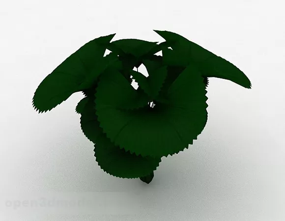 Round Leaf Garden Plant 3d model Round Leaf Garden Plant 3d model