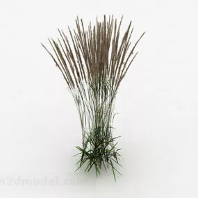Wild Grass 3d model