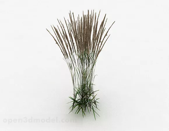 Wild Grass 3d model Wild Grass 3d model