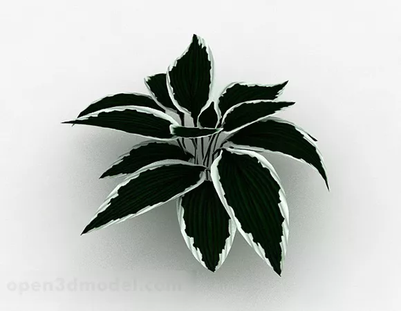 Small Leaf Plant 3d model Small Leaf Plant 3d model